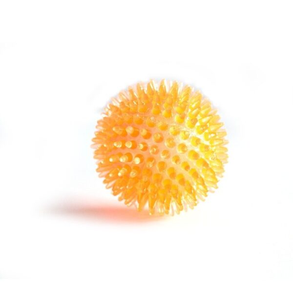 2CFA144E92FF702E79BADA0EA0C37FEE.jpeg Interactive Pig Face Dog Ball