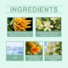 6D4BBB49DAF30C1D021011D475D38949.jpg Roxelis Fresh Neutral Fragrance