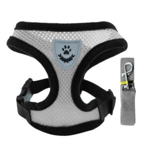 75D444DA3A7A7A042E64A44223554B70.jpeg Adjustable Pet Harness Set